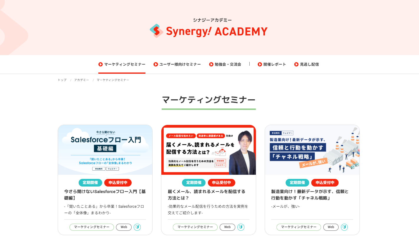 4. シナジーマーケティング株式会社