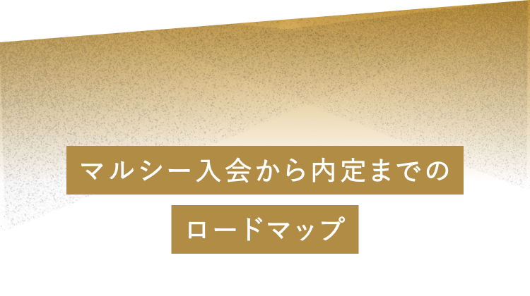 マルシー入会から内定までのロードマップ