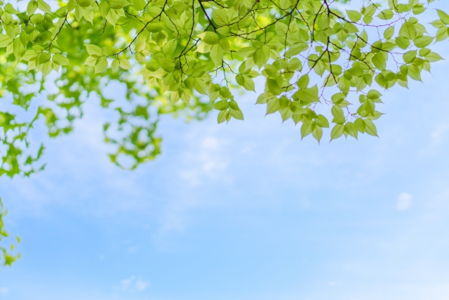 「年齢を重ねるほど、人生は楽しくなる」