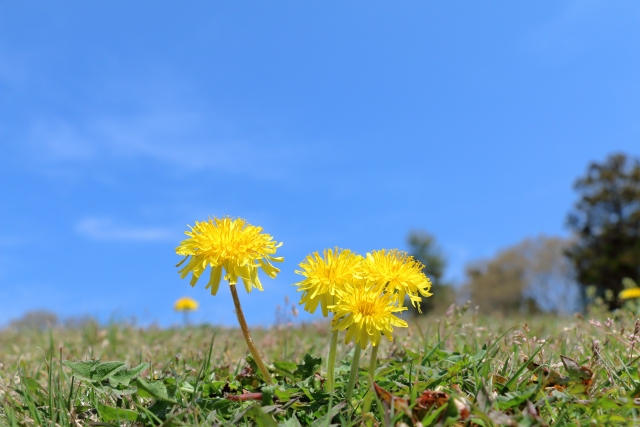 宝物を輝かせるために