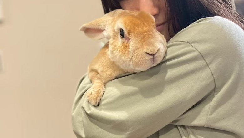 在宅ワークの可能性