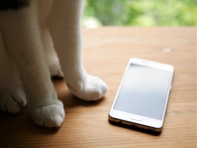 SNSで知った、私が大切にしたいつながり