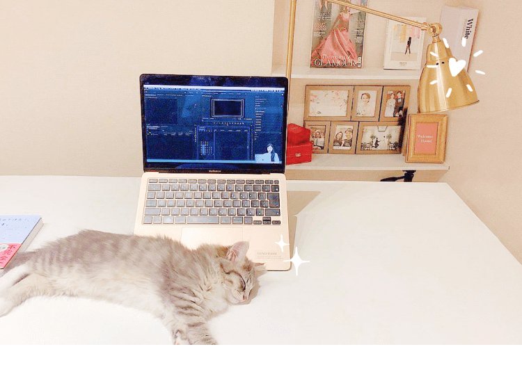 ノートPCが置かれたデスクで眠る猫