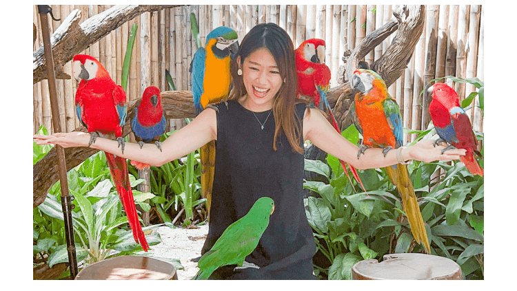 色とりどりのオウム・インコと両腕を広げて笑うRINAさん