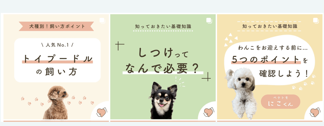 トイプードルの飼い方、しつけが必要な理由、犬を迎える前の5つのポイントを発信するペテトテのSNS投稿