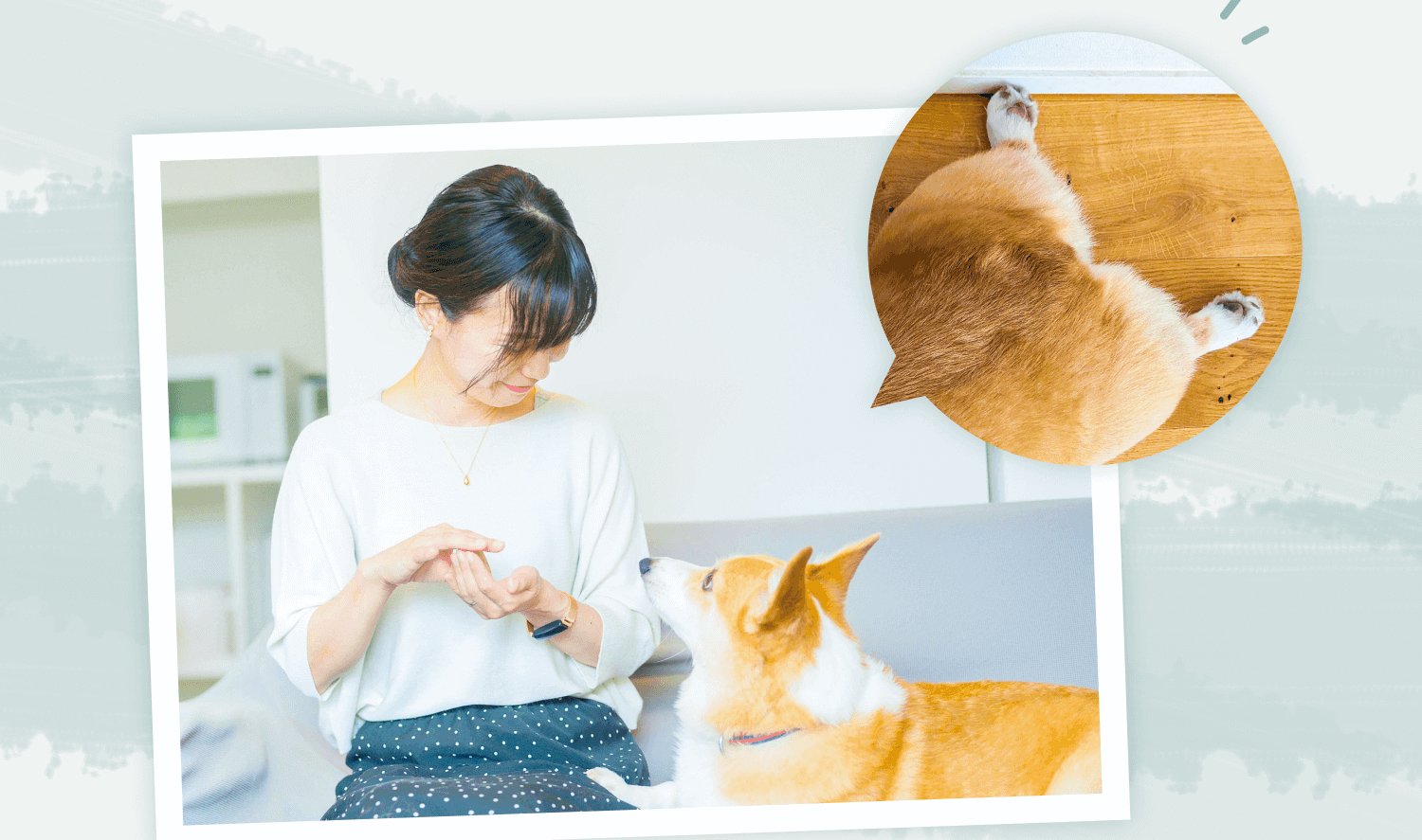 ソファで愛犬のコーギーとおやつのやりとりをしながら触れ合うくぅこさんのポラロイド風写真。右上には愛犬が木の板に前足をかけて甘えるアップの丸型写真が添えられている。