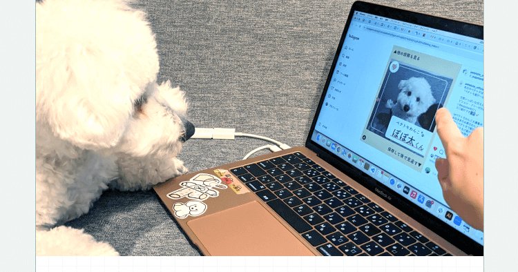 愛犬（トイプードル）とノートPCで作業する様子。画面にInstagram投稿画像の編集画面が表示されている