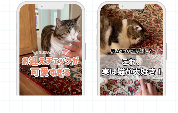 もんかさんが編集した愛猫のリール動画のスマホ画面キャプチャ2点。「お迎えチェックが可愛すぎる」「我が家の猫だけ！？これ、実は猫が大好き！」