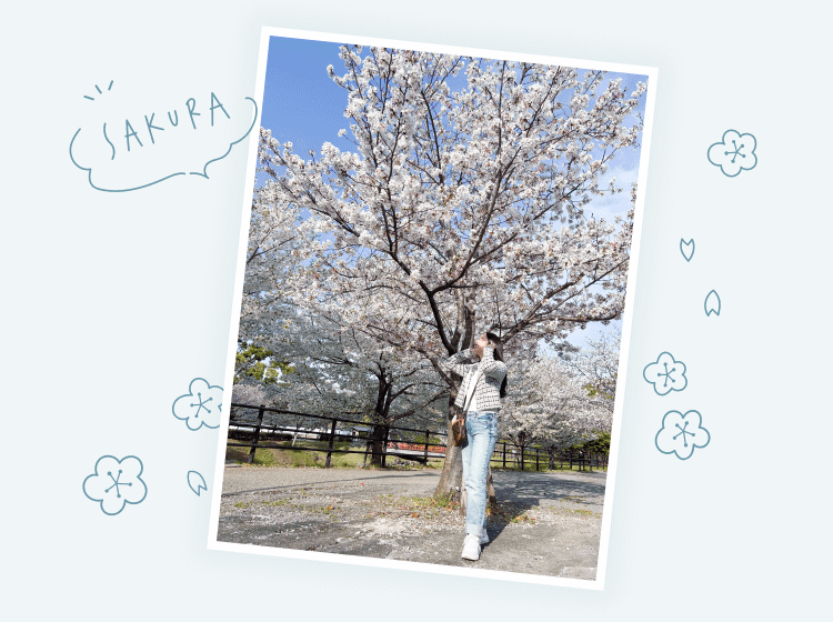 満開の桜の木の下に立つかんなさんの後ろ姿。手書き風のSAKURAの吹き出しと花のイラスト装飾つき