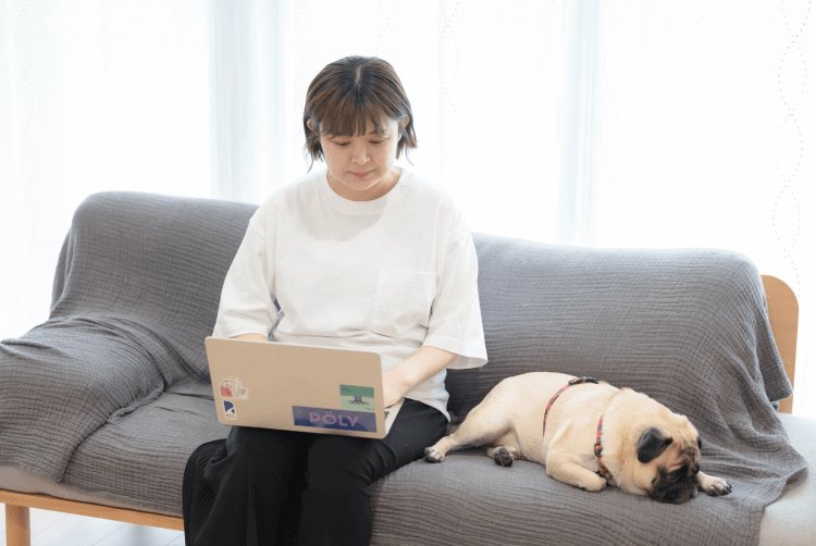 グレーのソファに座り、パグ犬と一緒にノートPCを操作するあかりさん